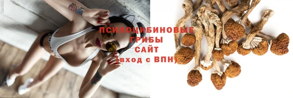 не бодяженный Богданович