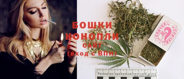 твердый Богородицк